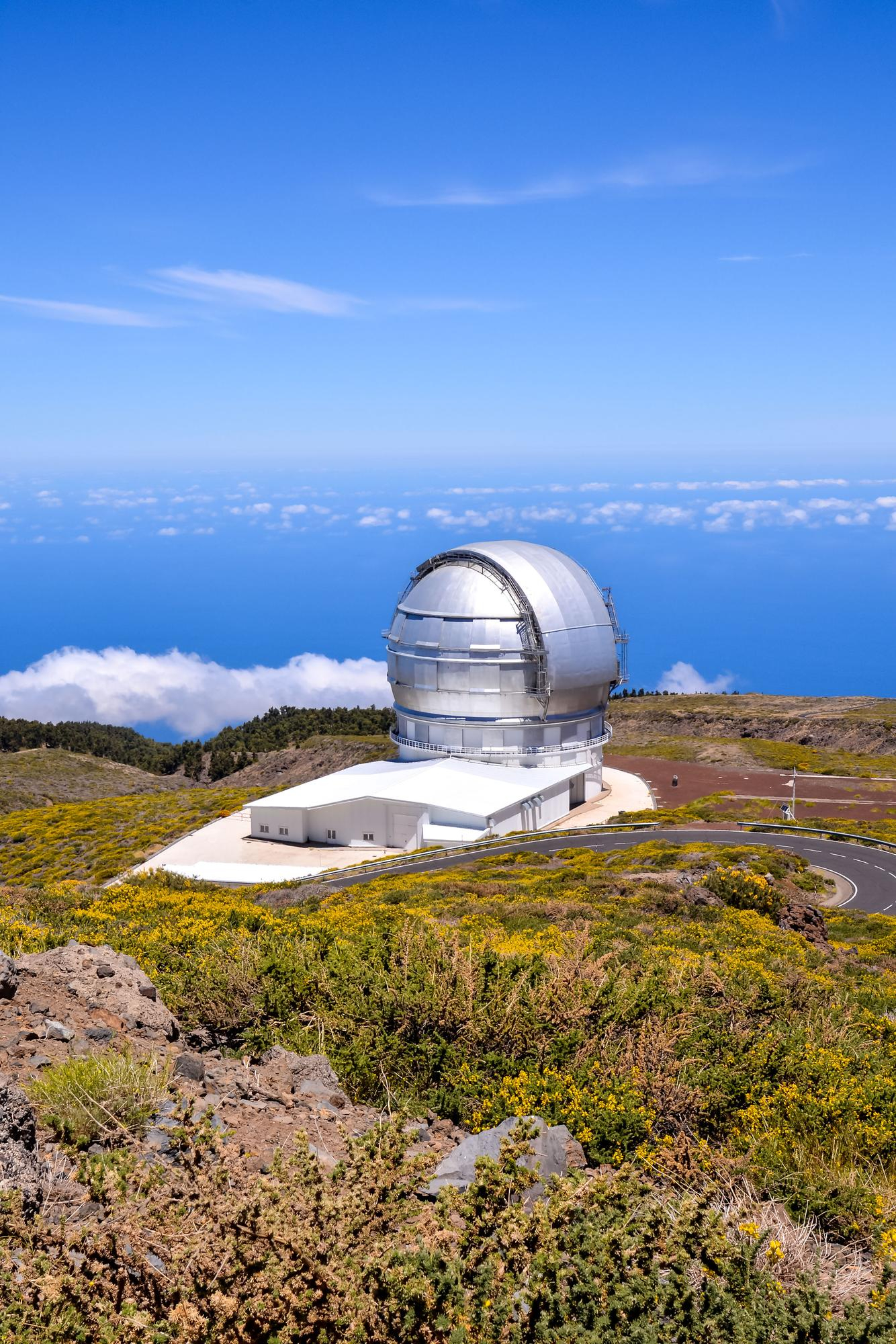 The salad bar at Central Park The Orchard
