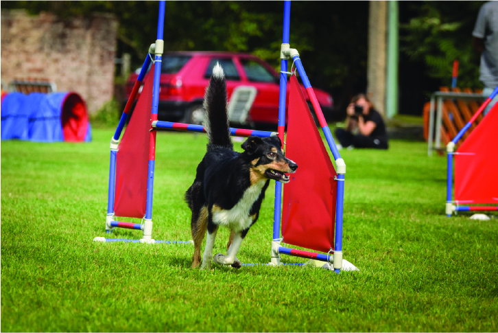 Check out the Volleyball court at Central Park The Orchard
