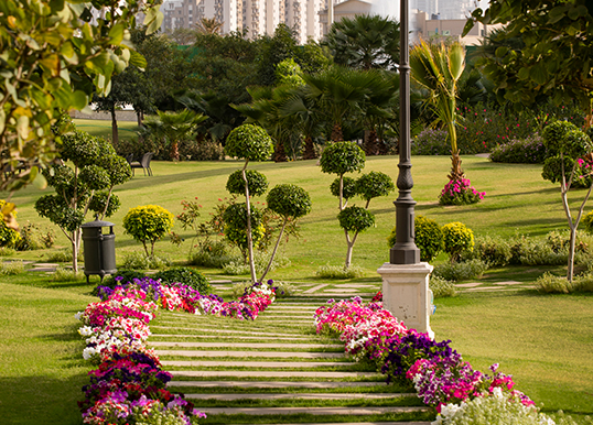 Green Facing Plots